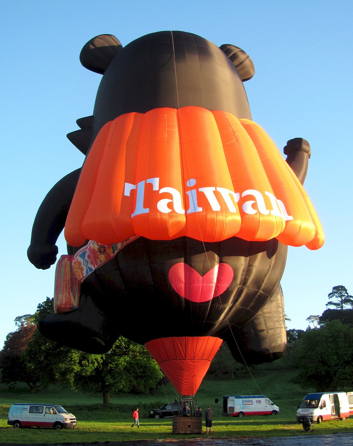 the hot air balloon festival